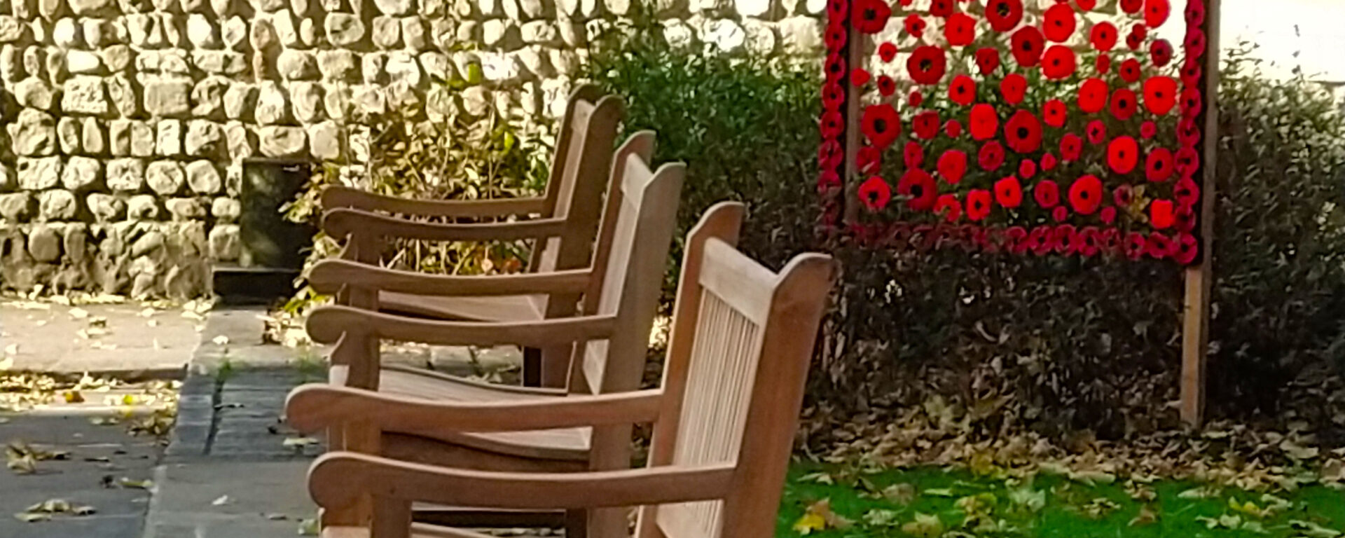 a row of remembrance day benches